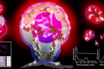 olécula fotoactiva unida al grafeno, que emite luz después de ser absorbida por una célula, con capacidad para detectar la morfología y cantidad de células.
